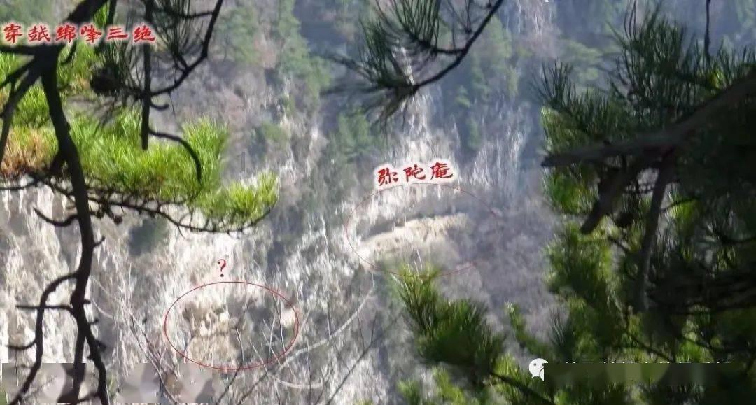 小猫钓鱼开船版最新版下载
